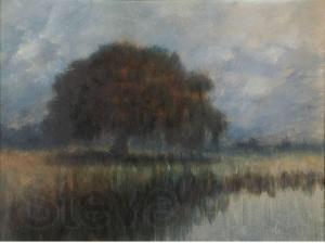 Alexander John Drysdale Oak on the Lower Coast of the Mississippi Germany oil painting art